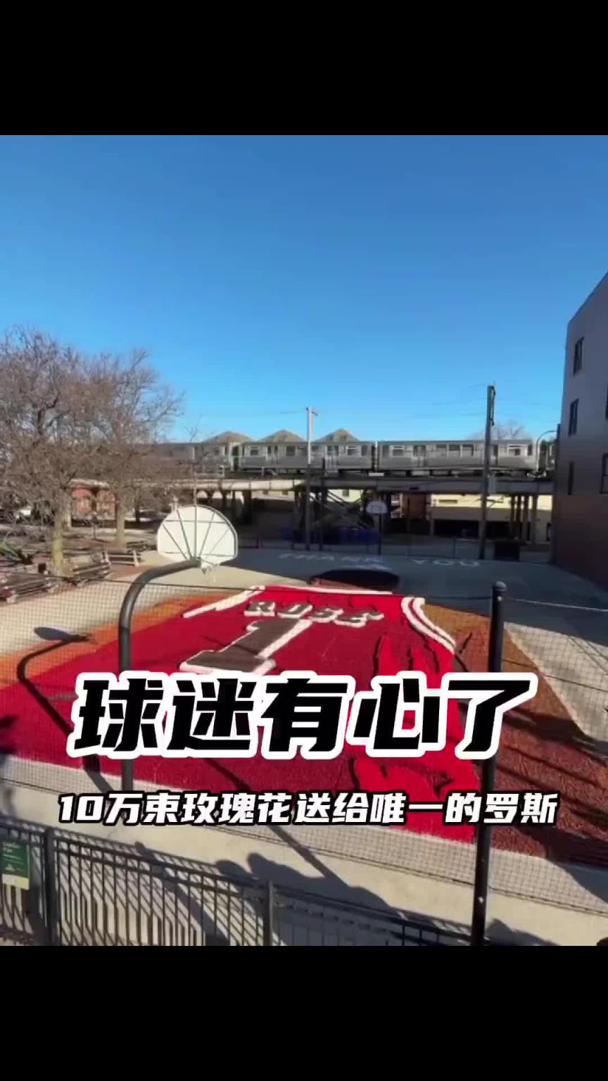 芝加哥當(dāng)?shù)厍蛎?0萬束玫瑰擺出風(fēng)城1號，慶祝羅斯之夜！