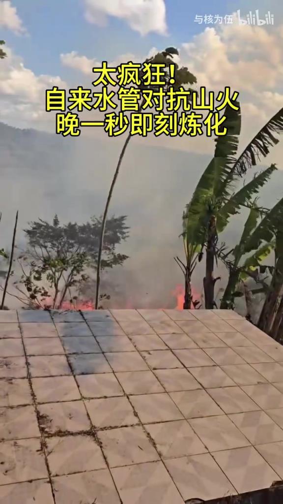 瘋狂！洛杉磯居民想用自來水水管澆滅山火，結(jié)果山火一瞬間燒上來