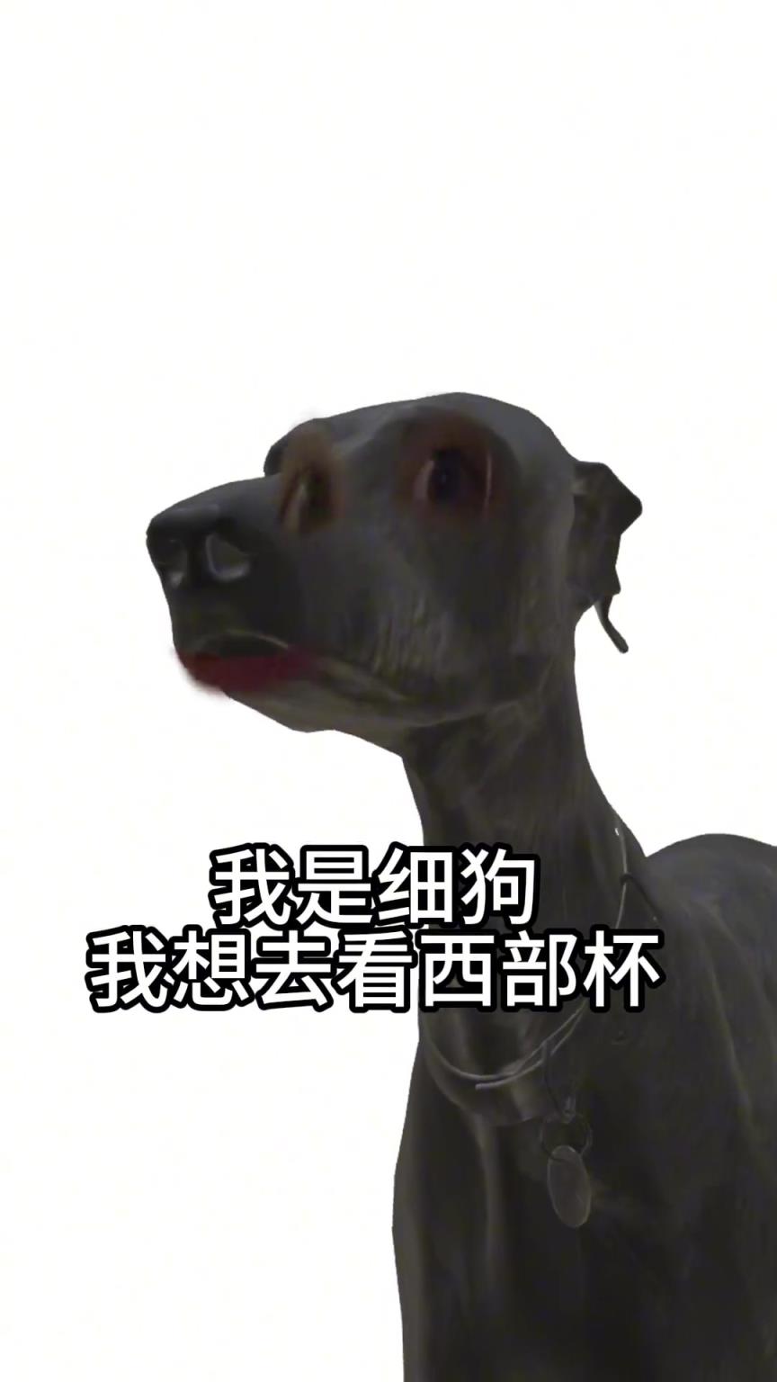 陜西聯(lián)合官方這么抽象的我是細(xì)狗我要看西部杯?。?></div>
<p>陜西聯(lián)合官方這么抽象的我是細(xì)狗我要看西部杯?。?/p>
</a>
</li>
<li>
<a href=