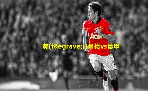 費(fèi)爾德vs德甲